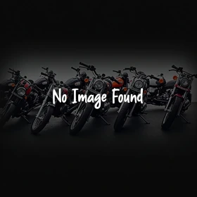 Duke 250/390 (2019-2022)